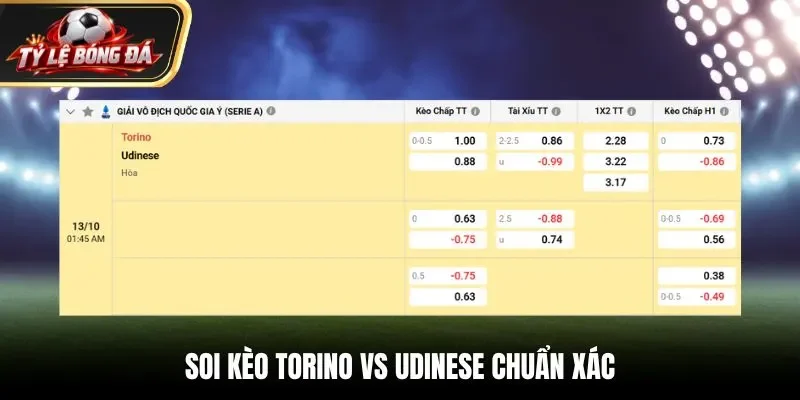 Soi kèo Torino vs Udinese chuẩn xác qua bảng tỷ lệ nhà cái